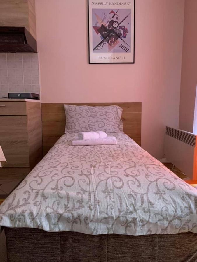 Apartmani Micic Vrnjacka Banja Ngoại thất bức ảnh