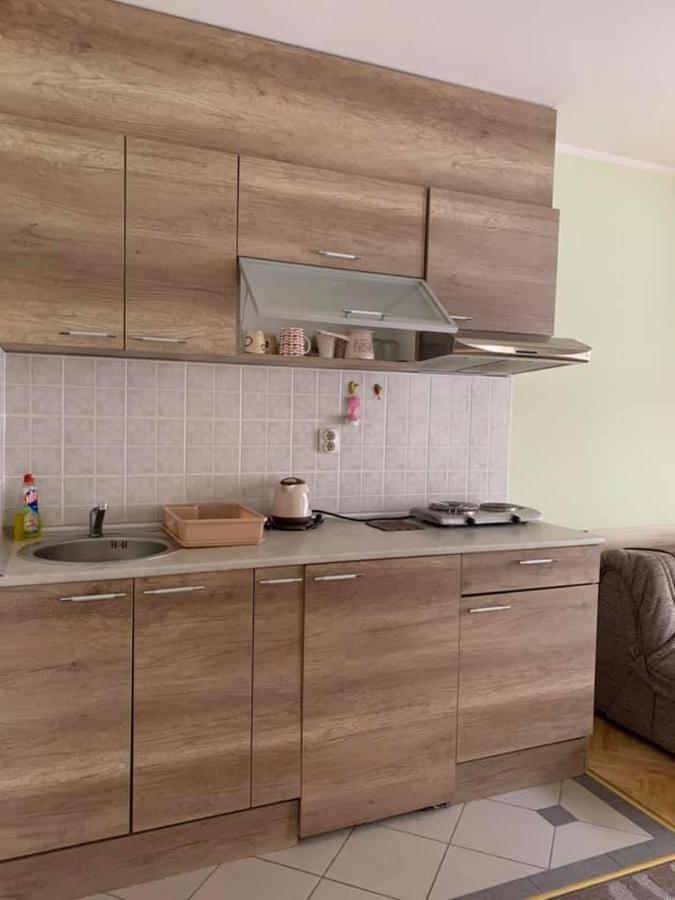 Apartmani Micic Vrnjacka Banja Ngoại thất bức ảnh